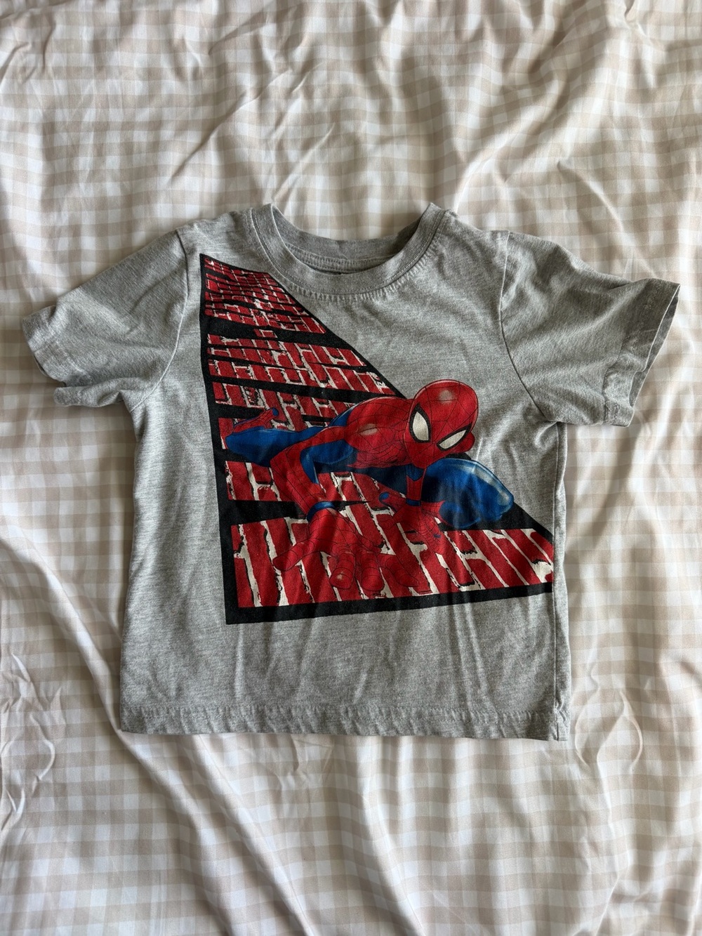 Marvel Spider-Man Grey Kids Graphic Short Sleeve T-Shirt (3T)